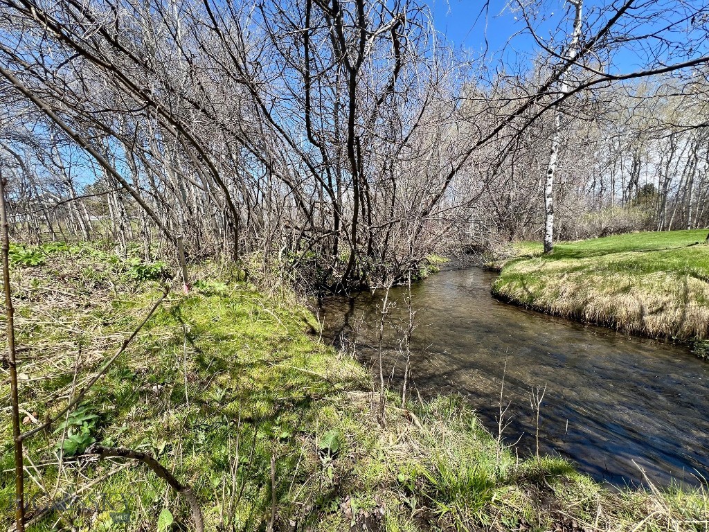 TBD Spring Creek Drive