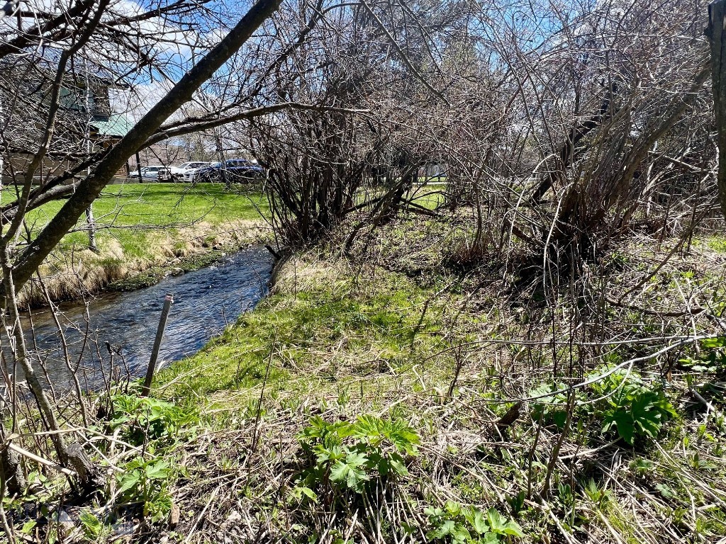 TBD Spring Creek Drive