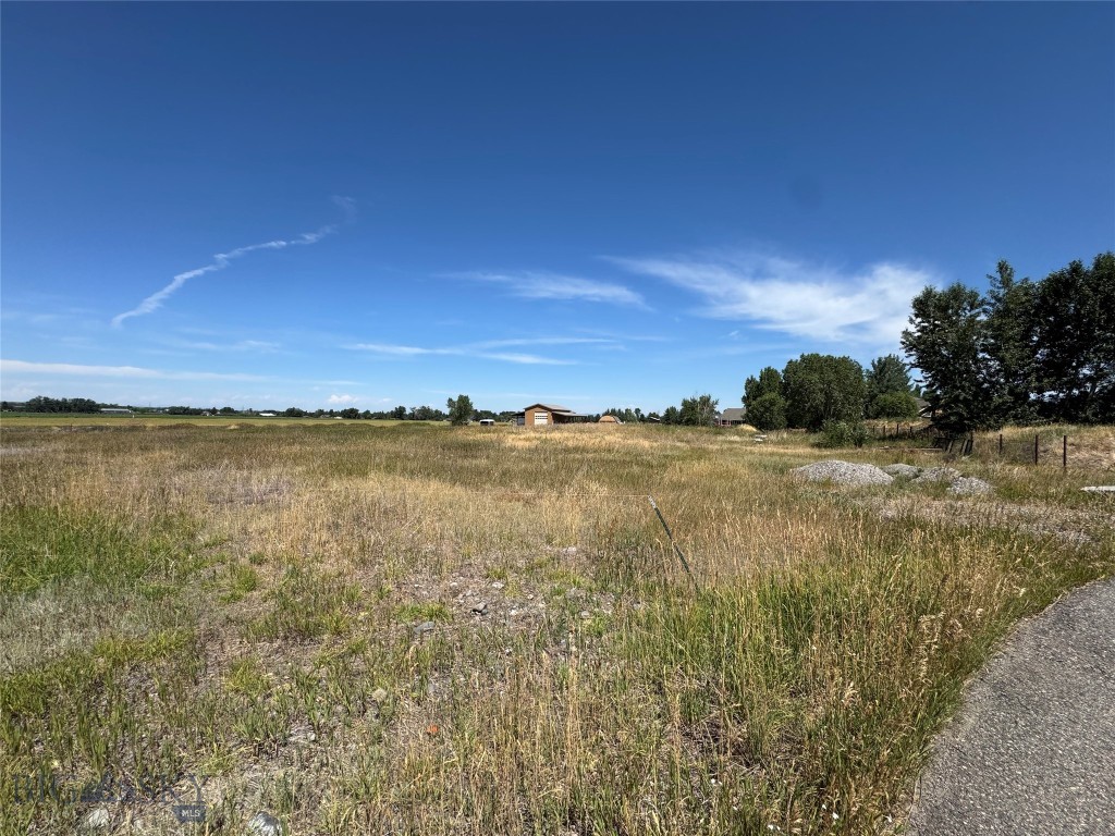 49 Ladybug Lane, Bozeman