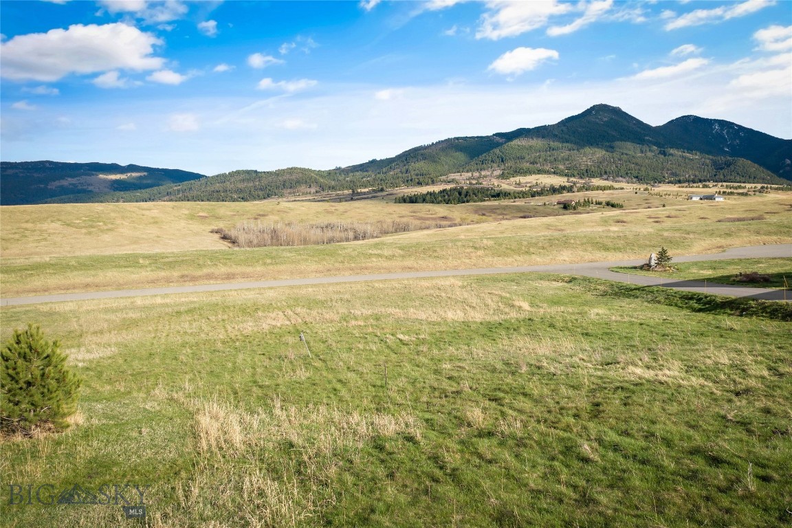 TBD Francham Trail