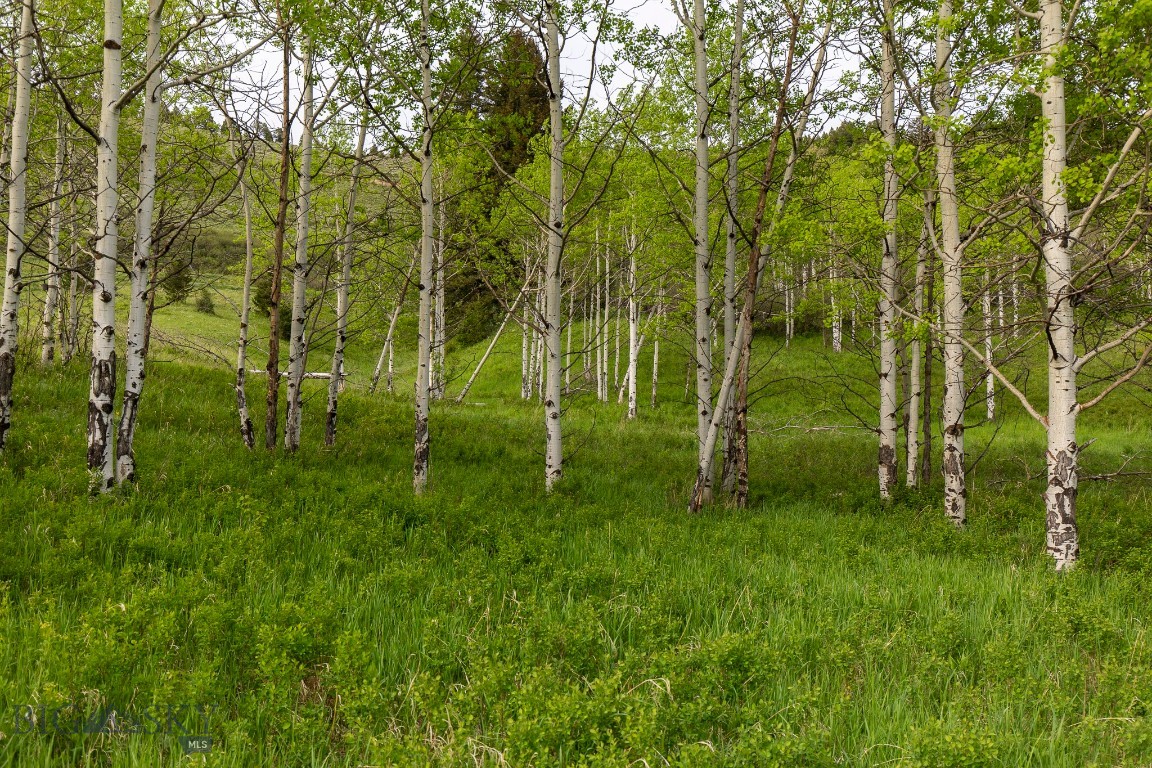 TBD Trail Creek Road Lot 3