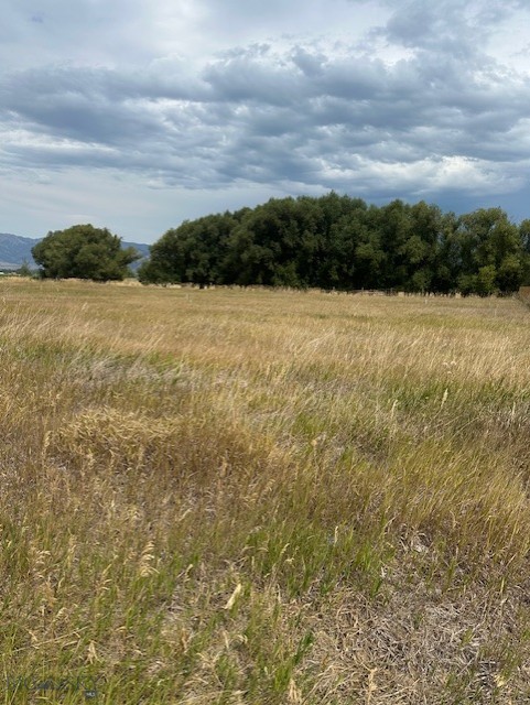 Lot 2A Bison Trail
