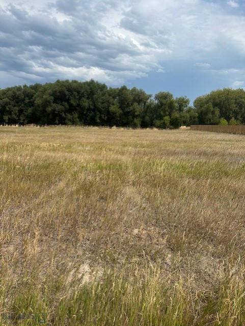 Lot 2A Bison Trail