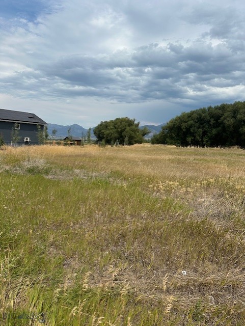 Lot 2A Bison Trail