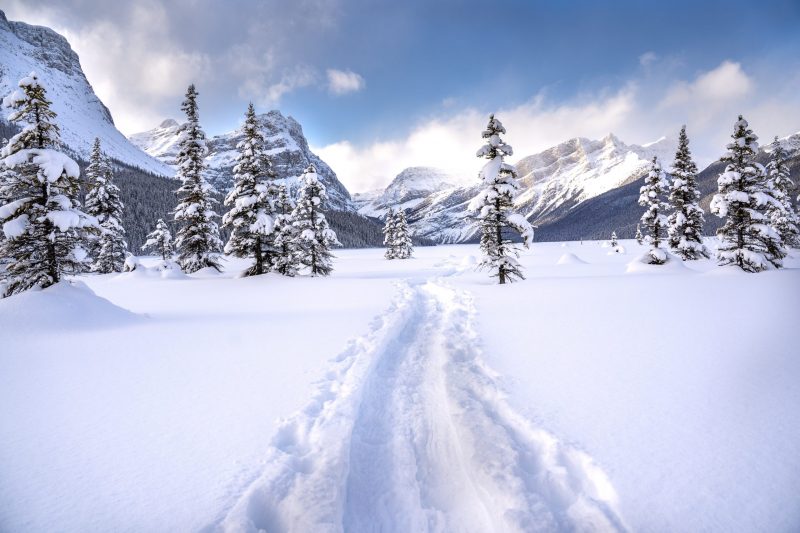 Where to Cross Country Ski in Bozeman