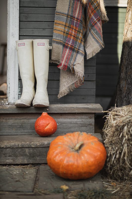 Fall Activities in Bozeman