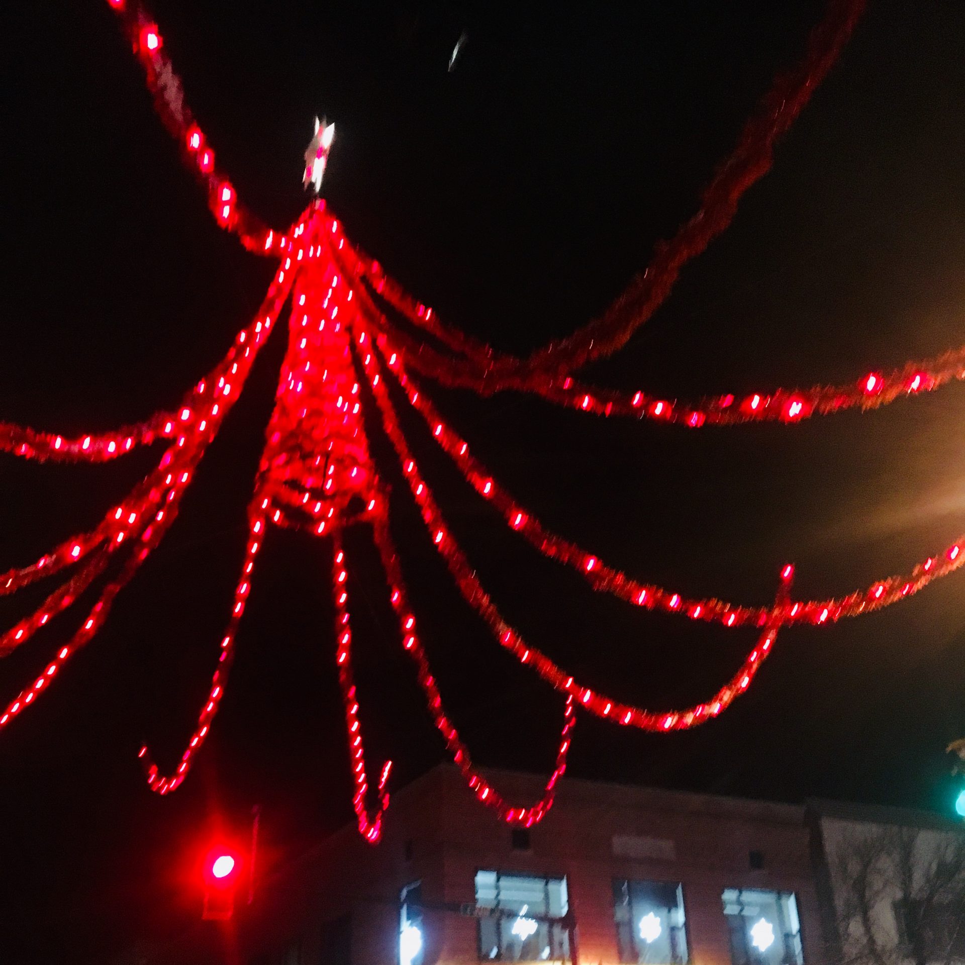 bozeman Christmas spider lights