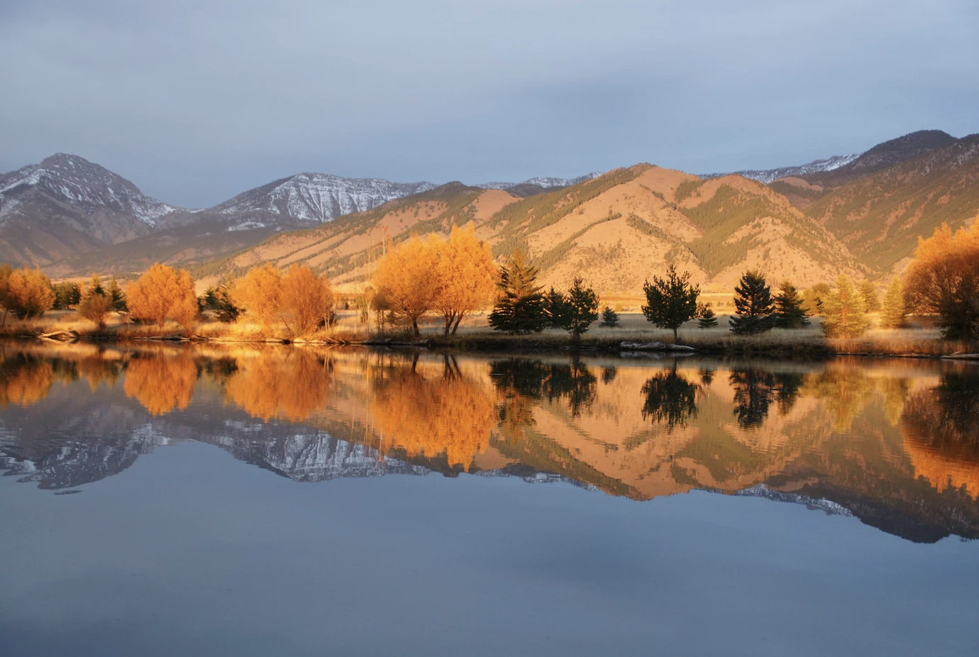 Homes for Sale in Bridger Lake Meadows subdivision in Bozeman